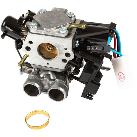 Carburettor Kit 60Cc i gruppen  hos Entreprenadbutiken (5014633-05)