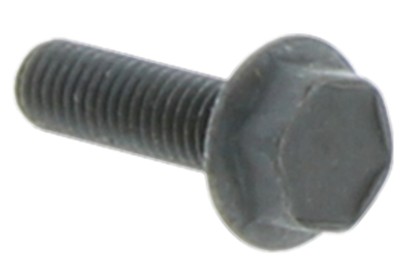 Skruv M6SF 5X18 i gruppen  hos Entreprenadbutiken (5032000-21)