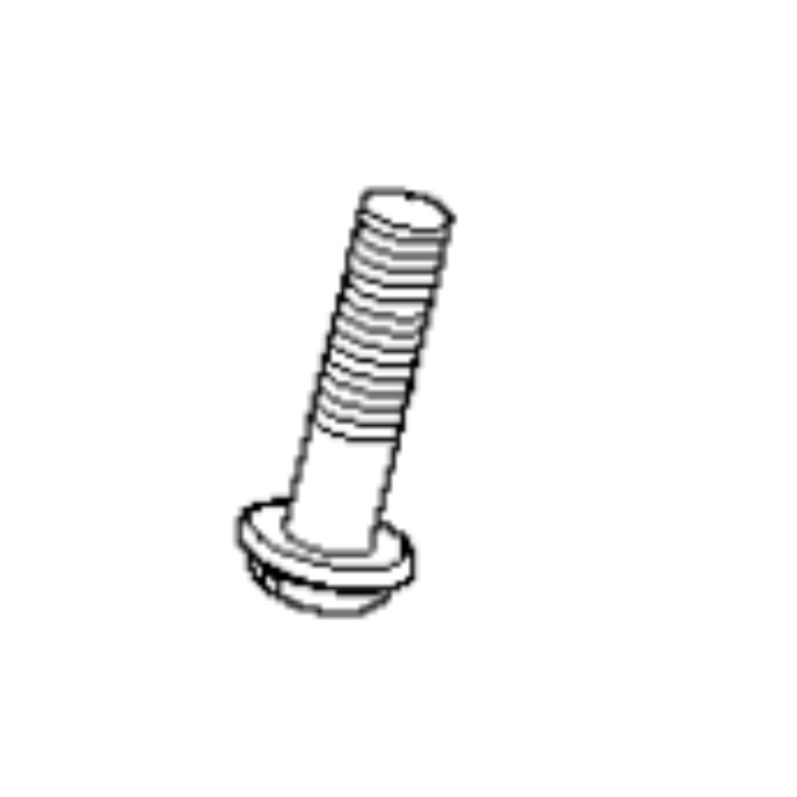 Screw i gruppen  hos Entreprenadbutiken (5050472-01)