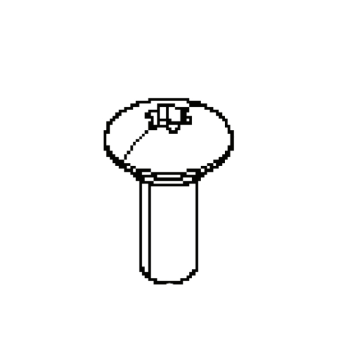 Screw i gruppen  hos Entreprenadbutiken (5066143-01)