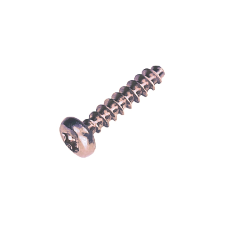 Pt-Screw 40X18 T20 i gruppen hos Entreprenadbutiken (5205223-01)