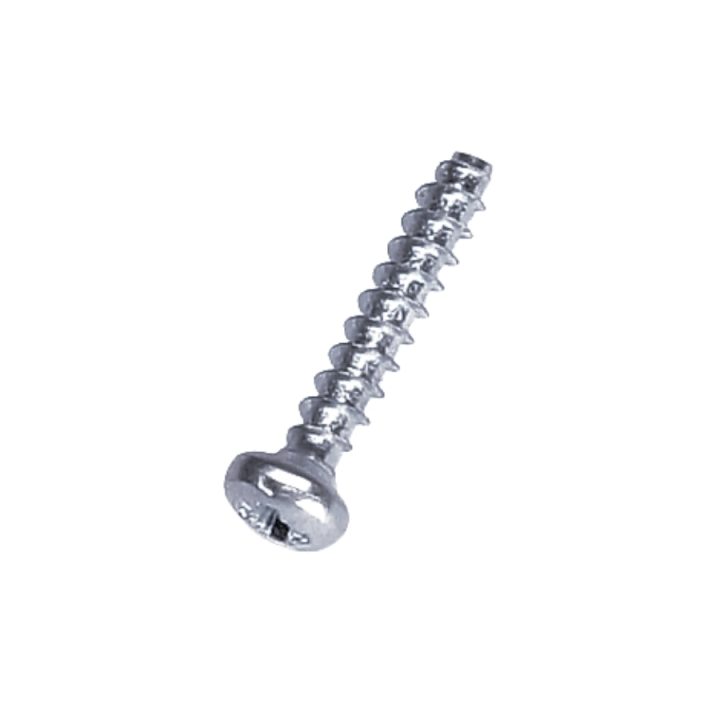 Cylinder Head Screw 3,5X20 i gruppen hos Entreprenadbutiken (5206120-01)