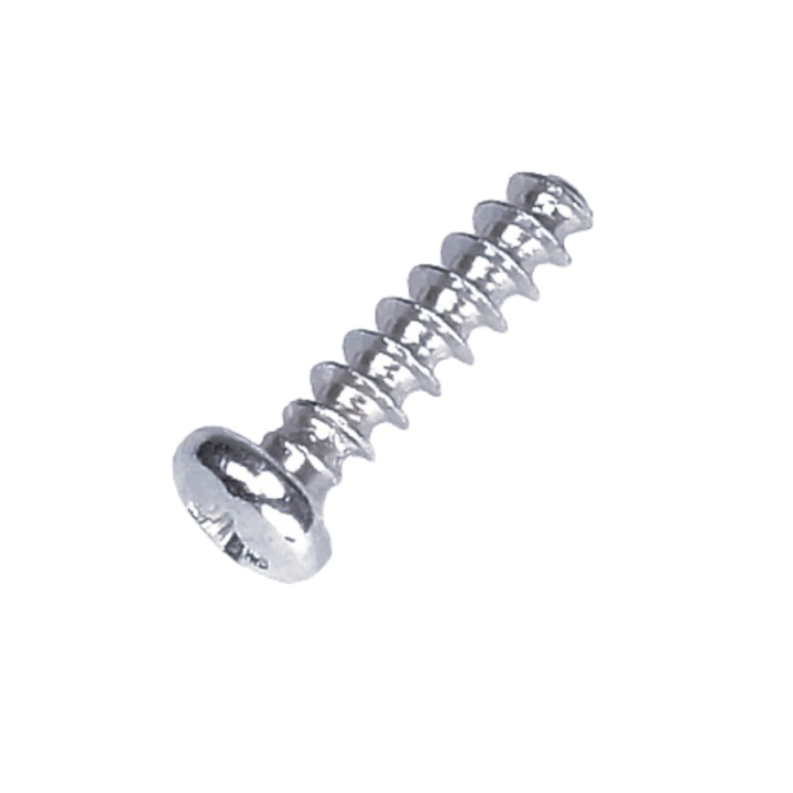 Slotted Head Screw i gruppen hos Entreprenadbutiken (5219480-01)