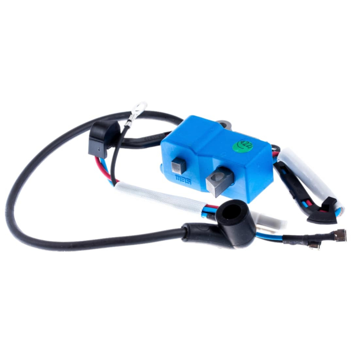 Tändmodul H 555 i gruppen  hos Entreprenadbutiken (5227951-07)