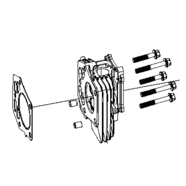 Cylinder Head Kit i gruppen  hos Entreprenadbutiken (5311469-92)