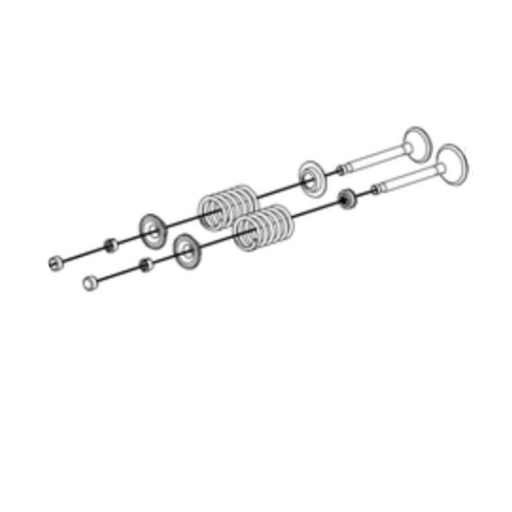 Valve kit i gruppen  hos Entreprenadbutiken (5401749-01)
