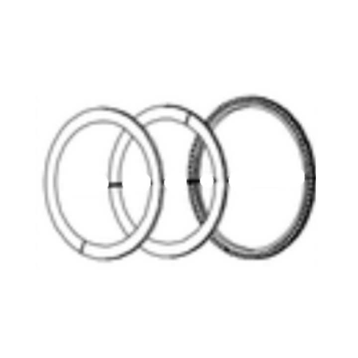 Piston ring set i gruppen hos Entreprenadbutiken (5401752-01)