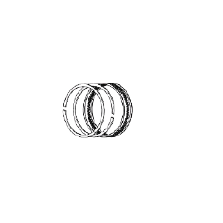 Piston Ring Set i gruppen  hos Entreprenadbutiken (5461906-01)