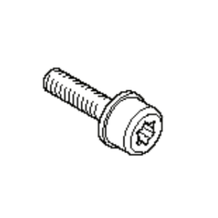Screw M4-0,7X16Mm 4Stroke Pp i gruppen  hos Entreprenadbutiken (5759626-01)