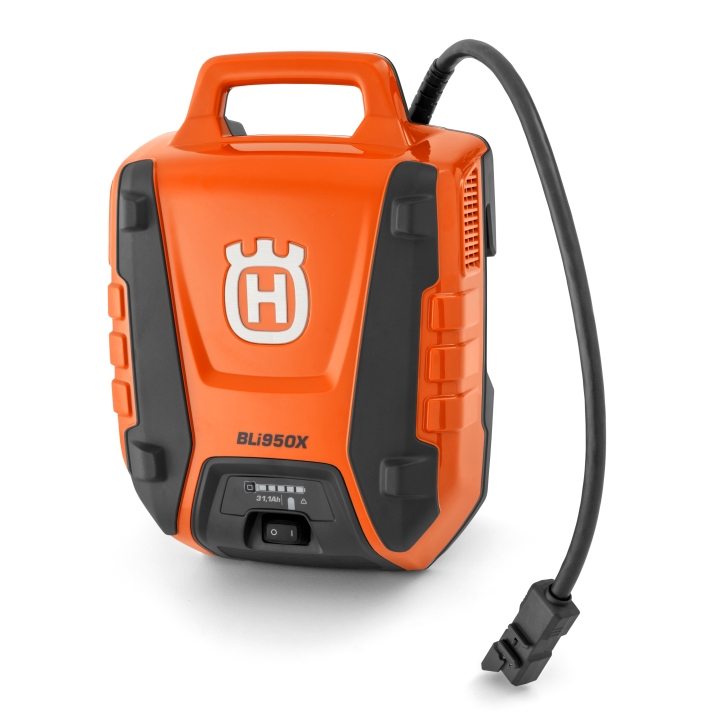 BATTERY ASSY BLI950X i gruppen  hos Entreprenadbutiken (5798222-01)