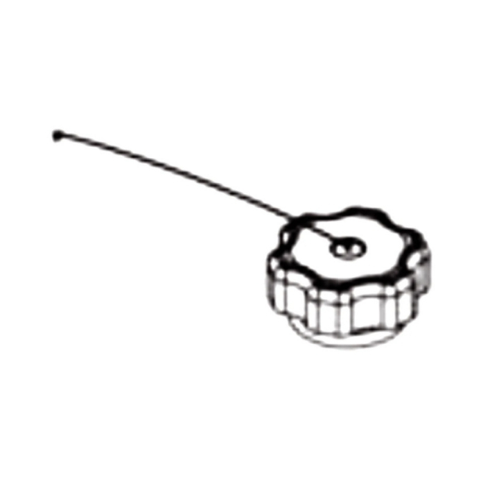 Fuel Cap Assy 50 State W/Chain i gruppen  hos Entreprenadbutiken (5803528-01)