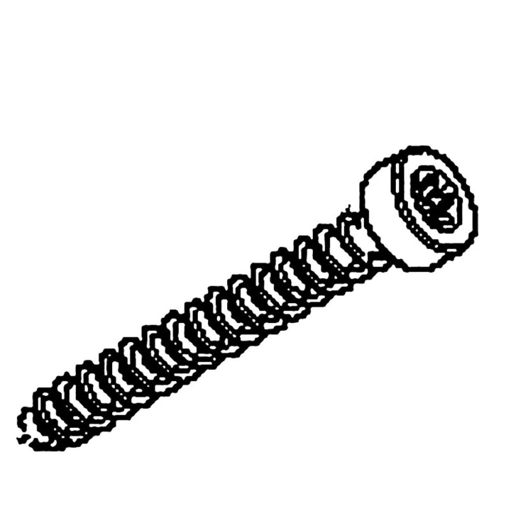 Screw i gruppen  hos Entreprenadbutiken (5895833-01)