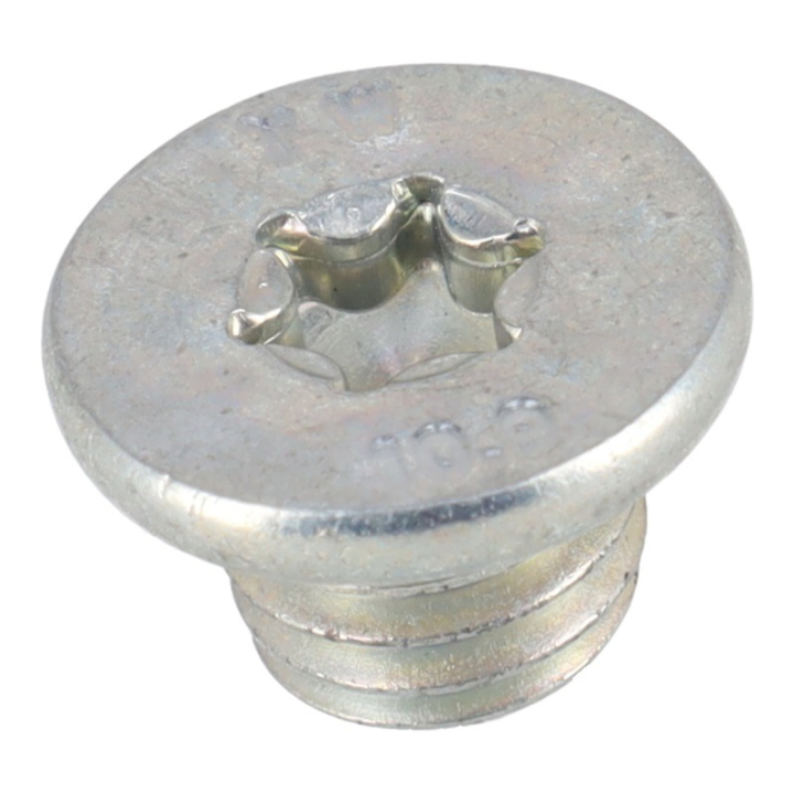 Skruv Plug Hexalobular Socket i gruppen  hos Entreprenadbutiken (5906494-01)
