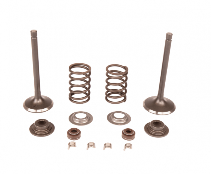 Service Kit Kit,Valve i gruppen  hos Entreprenadbutiken (5909717-01)