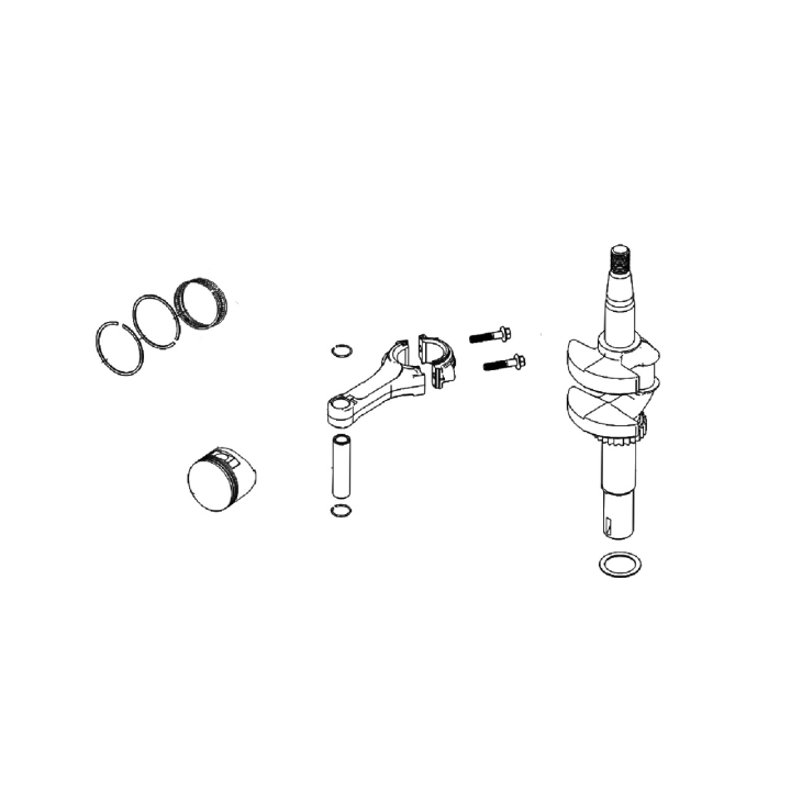 Piston Assy Rv175 Piston And R i gruppen hos Entreprenadbutiken (5930562-01)