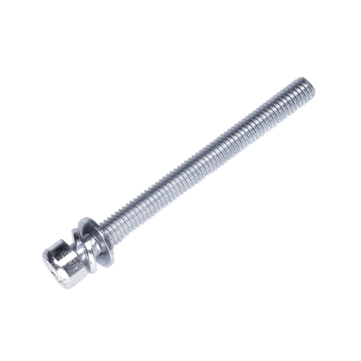 Screw M6X65 i gruppen hos Entreprenadbutiken (5971462-01)