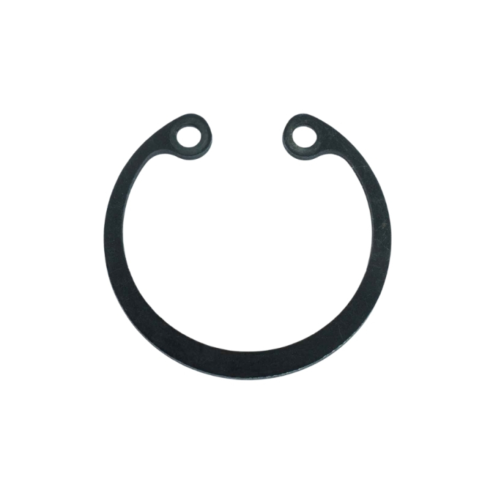 Locking Ring Sgh 55 i gruppen  hos Entreprenadbutiken (5985650-01)
