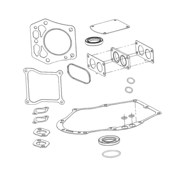 Gasket Kit i gruppen hos Entreprenadbutiken (5985994-01)