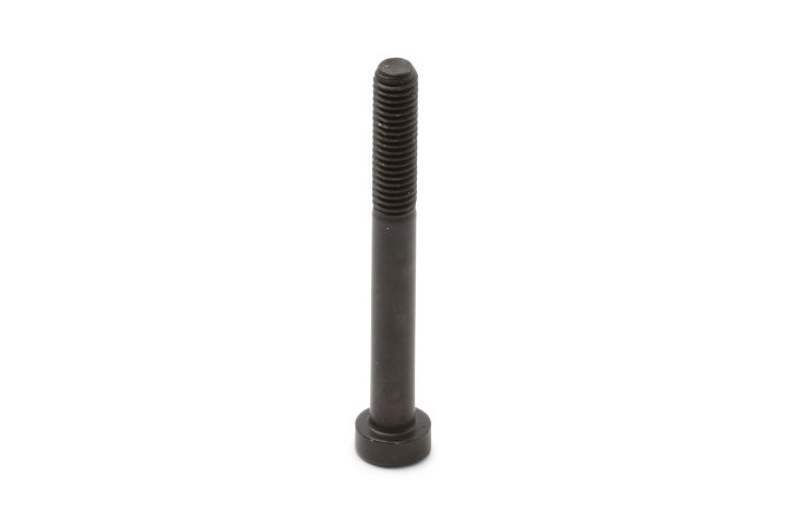 Screw hex. soc. head screw, M5 i gruppen  hos Entreprenadbutiken (5987627-01)