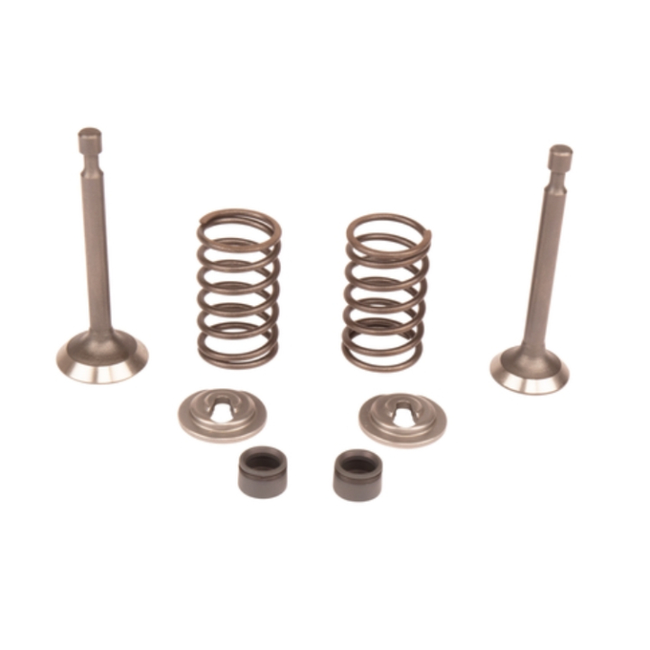 VALVE KIT i gruppen  hos Entreprenadbutiken (5993490-42)