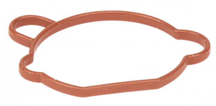 Gasket Carburettor i gruppen  hos Entreprenadbutiken (5993490-78)