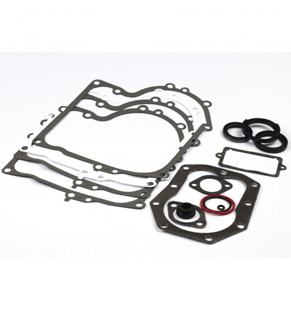 Packningssats B&S 494241