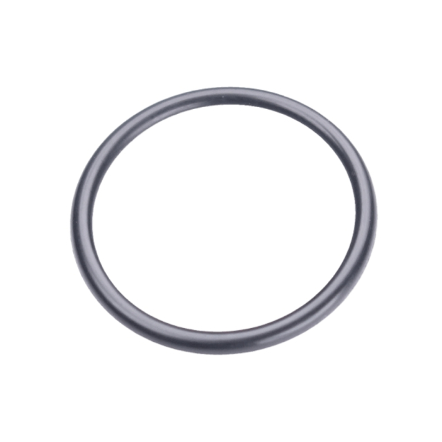 O-Ring 20X2