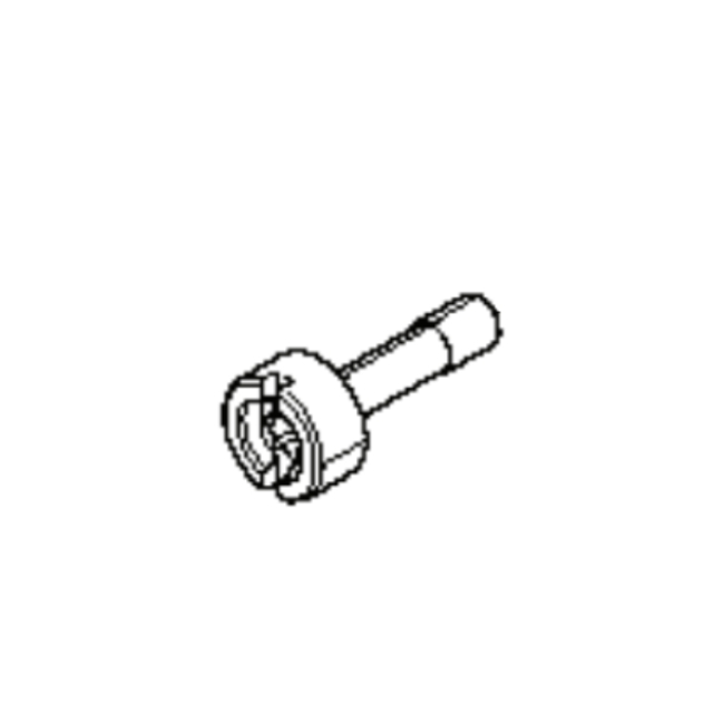 Screw