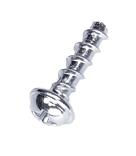 Screw
