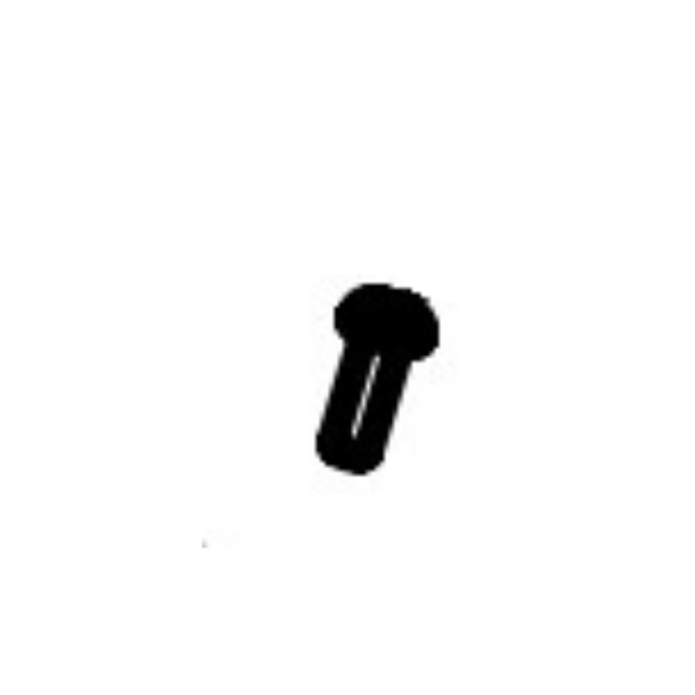 Screw