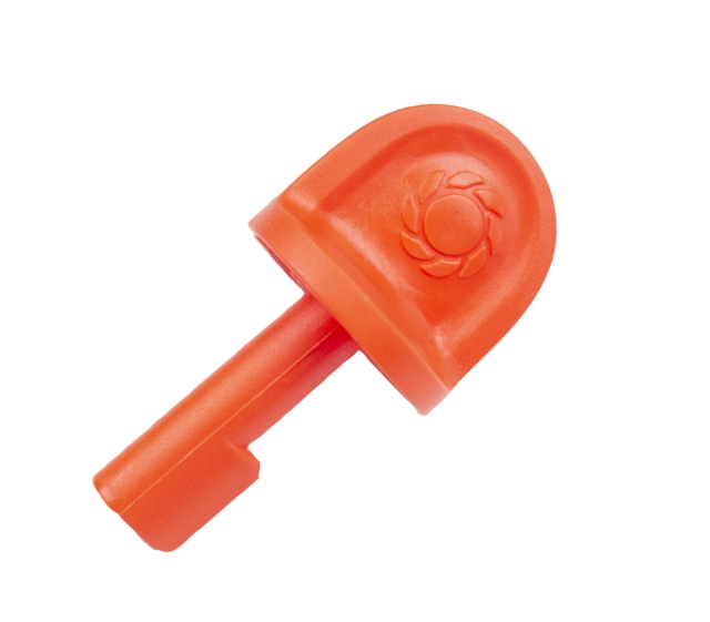 Security key