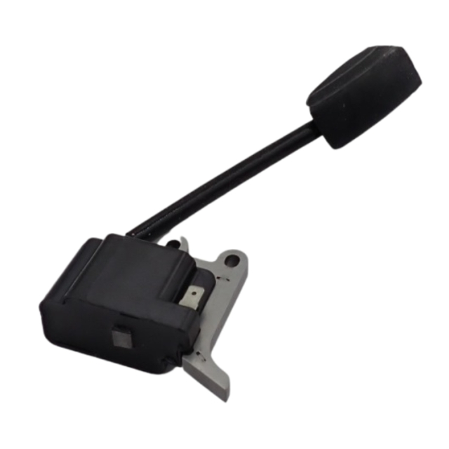 Ignition Module Assy