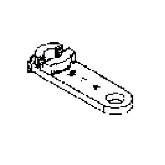 Arm