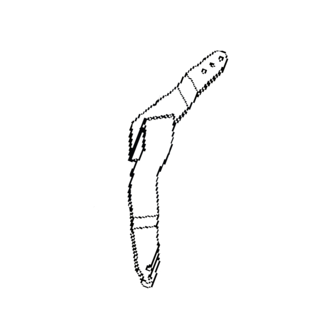 Arm