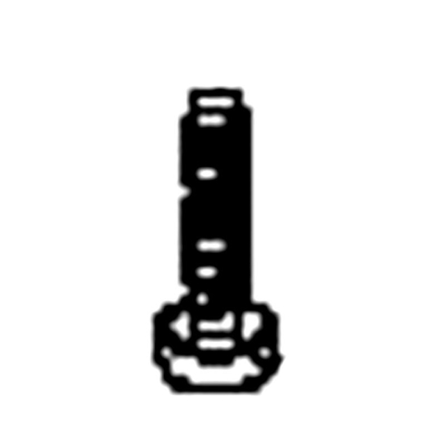 Screw