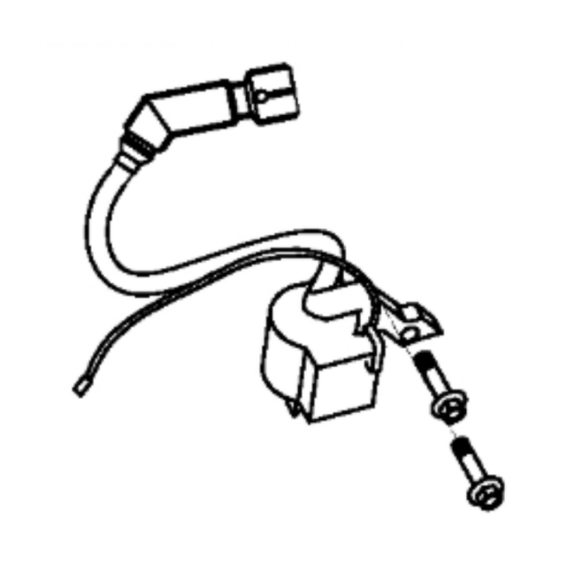 Ignition Module Assy