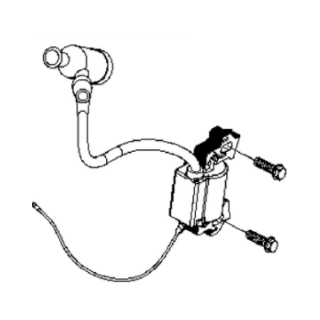 Ignition Module Assy