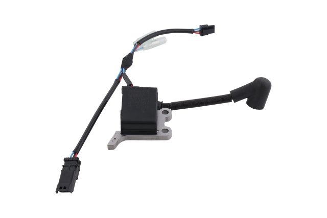 Ignition coil assy