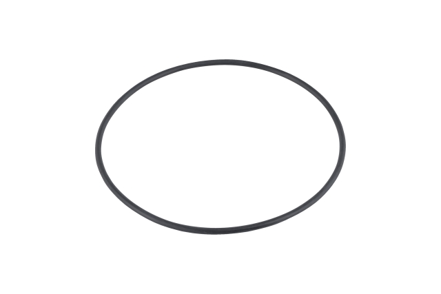 O-ring d110