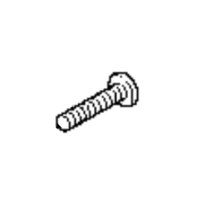 Screw