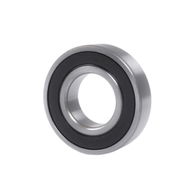 Lager 6009-2Rs1