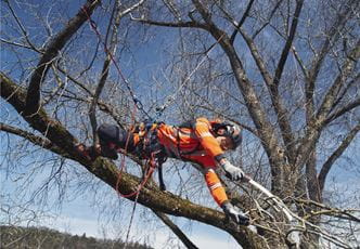 Husqvarna arborist klättersele