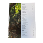 Arbete med motorsåg - Del 1 Arbete med motorsåg - Del 1