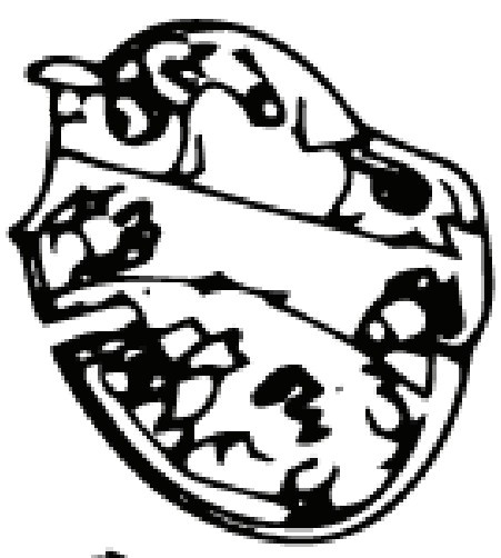 Switchbox Lower (Euro