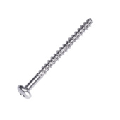 Screw Screw