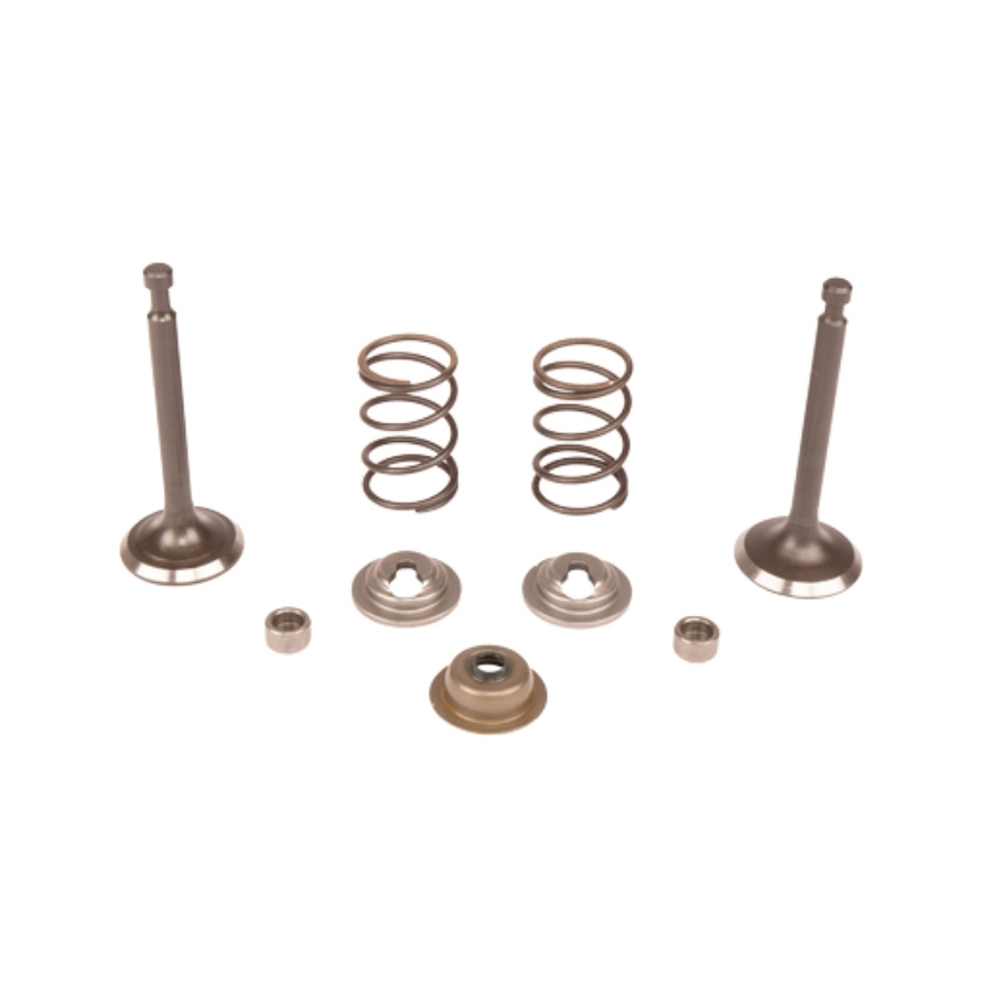 Valve kit