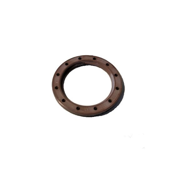 Radial seal 24.5 x 32.95 x 3.1 ptfe insert