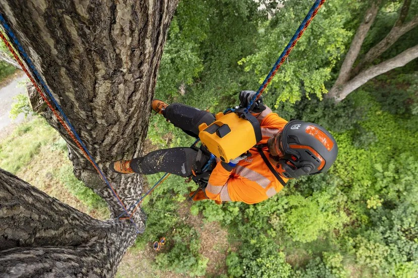 Repvinsch Husqvarna x Skylotec Power Ascender